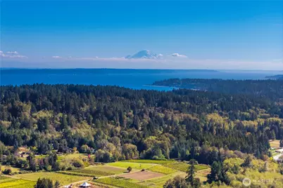 8132 NE Yeti Lane, Bainbridge Island, WA 98110 - Photo 40
