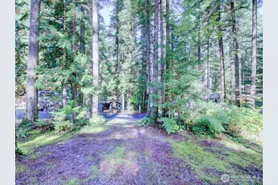 145 1 Goldrush Road, Deming, WA 98244 - Photo 2