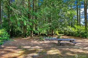 180 E McMickin Rd, Shelton, WA 98584 - Photo 18