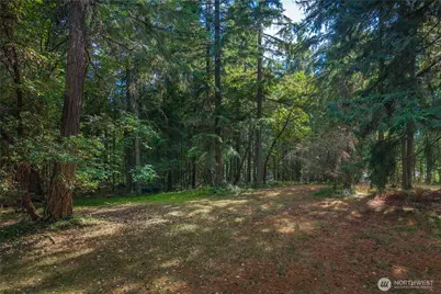 14821 134th Ave E, Puyallup, WA 98374 - Photo 12