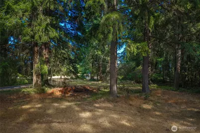 14821 134th Ave E, Puyallup, WA 98374 - Photo 10