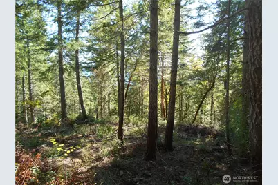 0 Hwy 101, Brinnon, WA 98320 - Photo 28