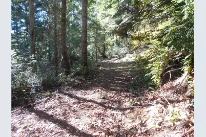 0 Hwy 101, Brinnon, WA 98320 - Photo 30