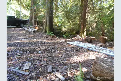 0 Hwy 101, Brinnon, WA 98320 - Photo 38