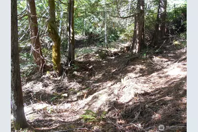 0 Hwy 101, Brinnon, WA 98320 - Photo 18