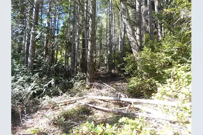 0 Hwy 101, Brinnon, WA 98320 - Photo 32