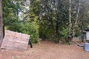 30608 56th Ave S, Roy, WA 98580 - Photo 6
