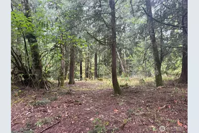 30608 56th Avenue S, Roy, WA 98580 - Photo 10