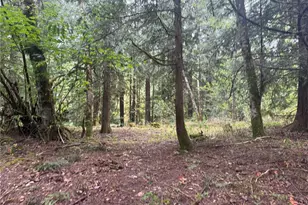 30608 56th Ave S, Roy, WA 98580 - Photo 10