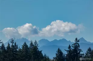 31 Sea Vista Pl, Port Ludlow, WA 98365 - Photo 30
