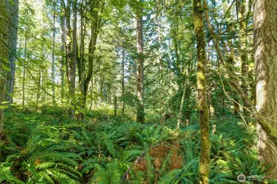 37000 SE 93rd Place, Snoqualmie, WA 98065 - Photo 16