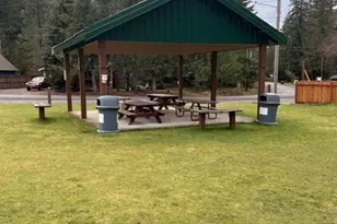 178 Skate Creek Rd N, Ashford, WA 98328 - Photo 32