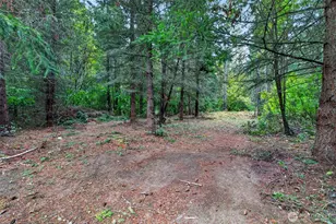 18230 Penn Ln SE, Yelm, WA 98597 - Photo 36