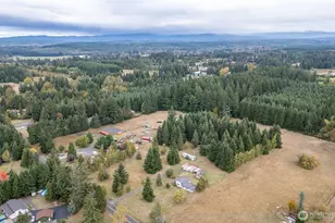 163 Keasling Rd, Chehalis, WA 98532 - Photo 32