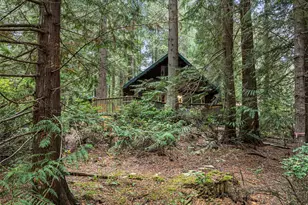 381 East Pointes Drive East, Shelton, WA 98584 - Photo 30