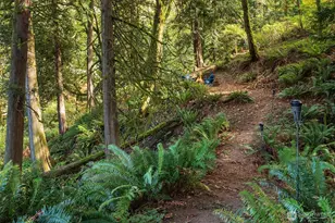 12824 141st Pl SE, Snohomish, WA 98290 - Photo 28