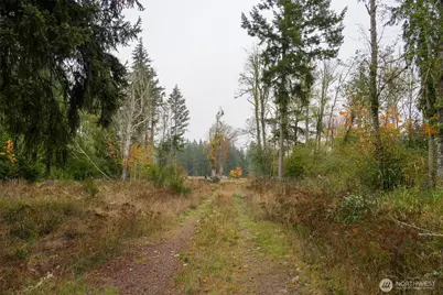 15138 Champion Estate Drive SE, Yelm, WA 98597 - Photo 8