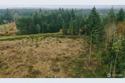 15138 Champion Estate Drive SE, Yelm, WA 98597 - Photo 2