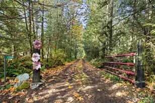 1388 E Elliot Creek Rd, Port Angeles, WA 98362 - Photo 2