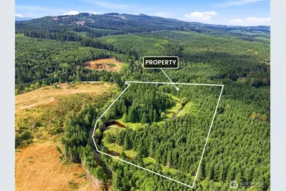 0 Elk Creek Road, Chehalis, WA 98532 - Photo 12