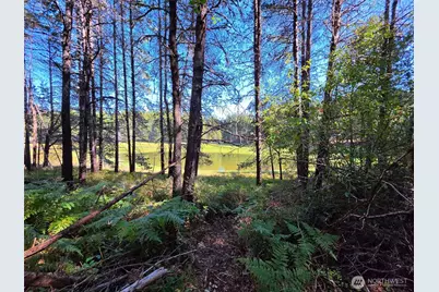 210 E Trudder Lane, Union, WA 98592 - Photo 34