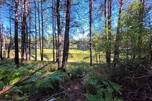 210 E Trudder Ln, Union, WA 98592 - Photo 34