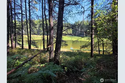 210 E Trudder Lane, Union, WA 98592 - Photo 2