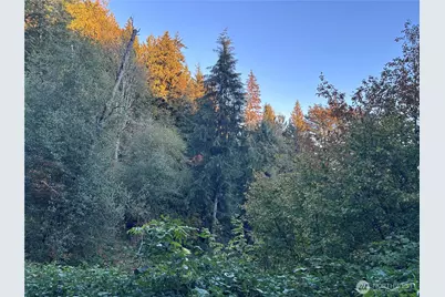 0 Fern Bluff Road S, Monroe, WA 98272 - Photo 16