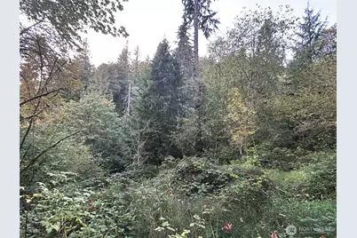 0 Fern Bluff Road S, Monroe, WA 98272 - Photo 14
