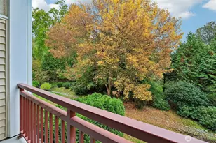 1805 134th Ave SE, Bellevue, WA 98005 - Photo 28
