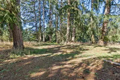 8446 169th Lane SW, Rochester, WA 98579 - Photo 26
