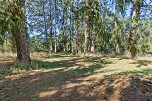 8446 169th Ln SW, Rochester, WA 98579 - Photo 26