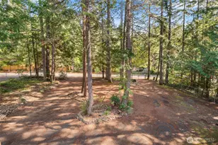 351 N Mount Jupiter Dr, Hoodsport, WA 98548 - Photo 30