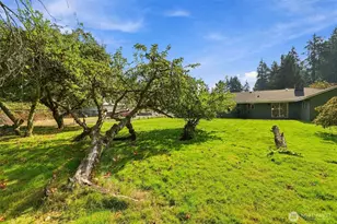 8321 112th St SW, Lakewood, WA 98498 - Photo 26