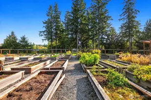 417 Parkside Walk, Sammamish, WA 98074 - Photo 8