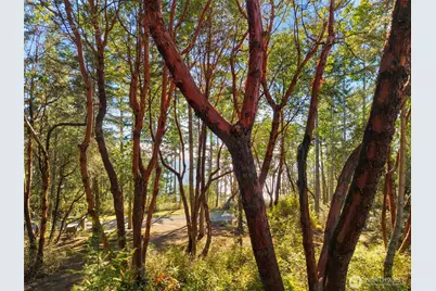 611 Lane De Chantal, Port Townsend, WA 98368 - Photo 40