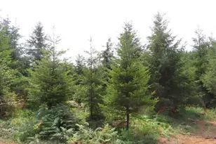 0 Lot D Mill Creek Ln, Longview, WA 98632 - Photo 1