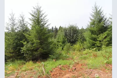 0 Lot D Mill Creek Lane, Longview, WA 98632 - Photo 16