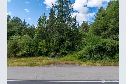28907 State Route 706, Ashford, WA 98304 - Photo 16