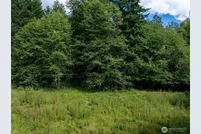 28907 State Route 706, Ashford, WA 98304 - Photo 22