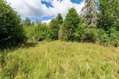 28907 State Route 706, Ashford, WA 98304 - Photo 4