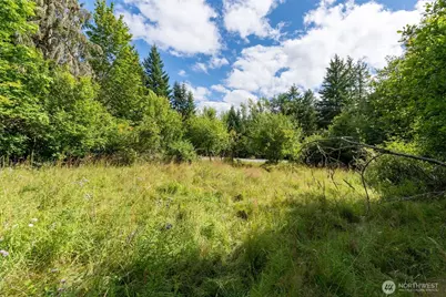 28907 State Route 706, Ashford, WA 98304 - Photo 14