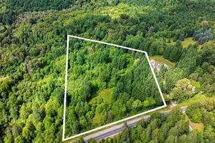 28907 State Route 706, Ashford, WA 98304 - Photo 1