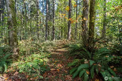 117 Stan View Drive, Napavine, WA 98532 - Photo 10