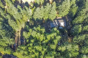 191 E Sandy Lake Dr, Shelton, WA 98584 - Photo 28