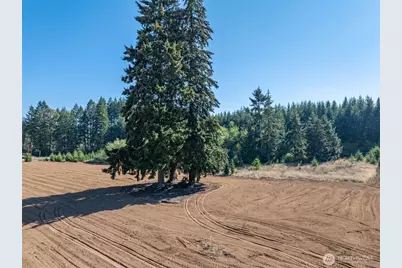 0 Lot 3 Brown Road W, Chehalis, WA 98532 - Photo 10