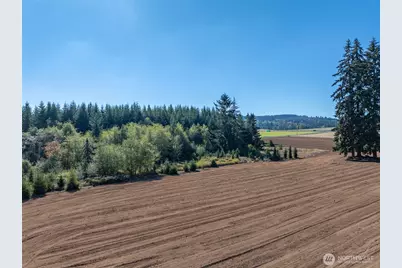 0 Lot 3 Brown Road W, Chehalis, WA 98532 - Photo 12