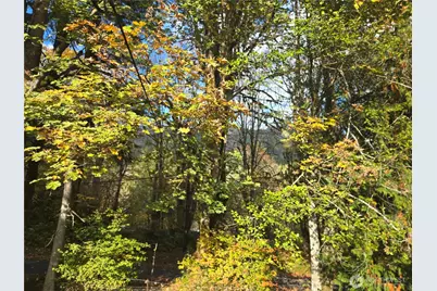 71403 Old Cascade Highway, Skykomish, WA 98288 - Photo 16