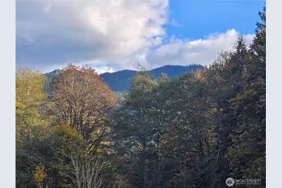 71403 Old Cascade Highway, Skykomish, WA 98288 - Photo 38