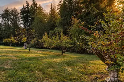 16674 Mountain View Road, Mount Vernon, WA 98274 - Photo 10